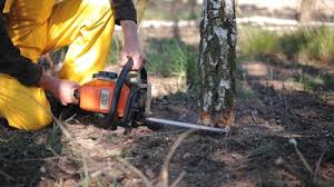 Best Soil Testing and Treatment  in Delavan Lake, WI